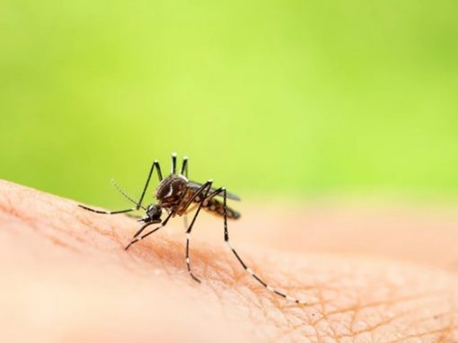 minsalud-dengue-zika-chicungunya-lluvias