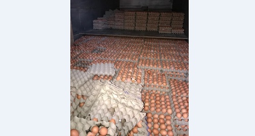El millonario cargamento de huevos y el tractocamión robados en Soacha, Cundinamarca, fueron recuperados en Melgar, Tolima
