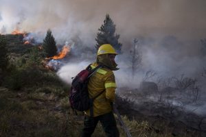 argentina-incendio-consume-mas-de-8-500-hectareas-en-la-patagonia