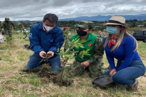 sembraron-3500-arboles-para-la-restauracion-del-ecosistema-en-chia-cundinamarca