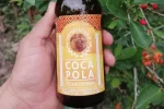 la-nueva-bebida-coca-pola-de-los-indigenas-nasa-en-colombia