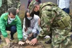 avanzan-megaviveros-para-restaurar-ecosistemas-degradados-en-colombia