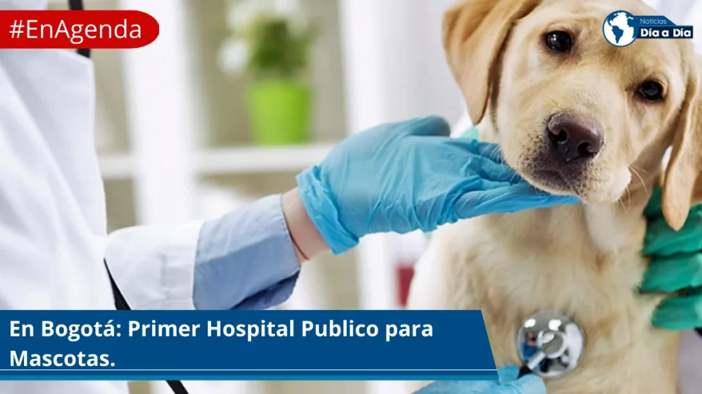 bogota-tendria-el-primer-hospital-publico-para-mascotas-del-pais