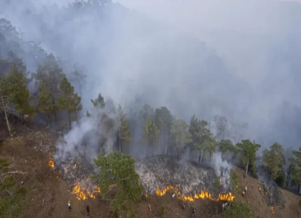 Cundinamarca, Viotá, incendio forestal