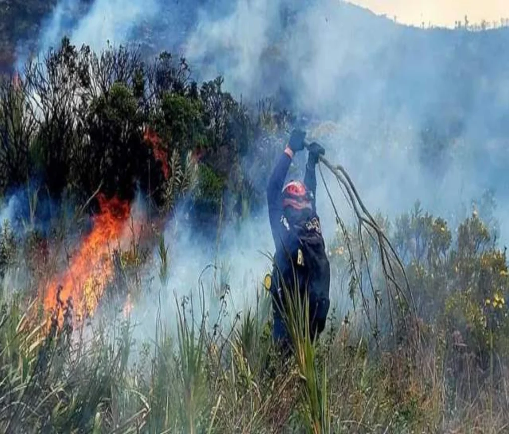 Incendios forestales, emergencia ambiental, Boyacá