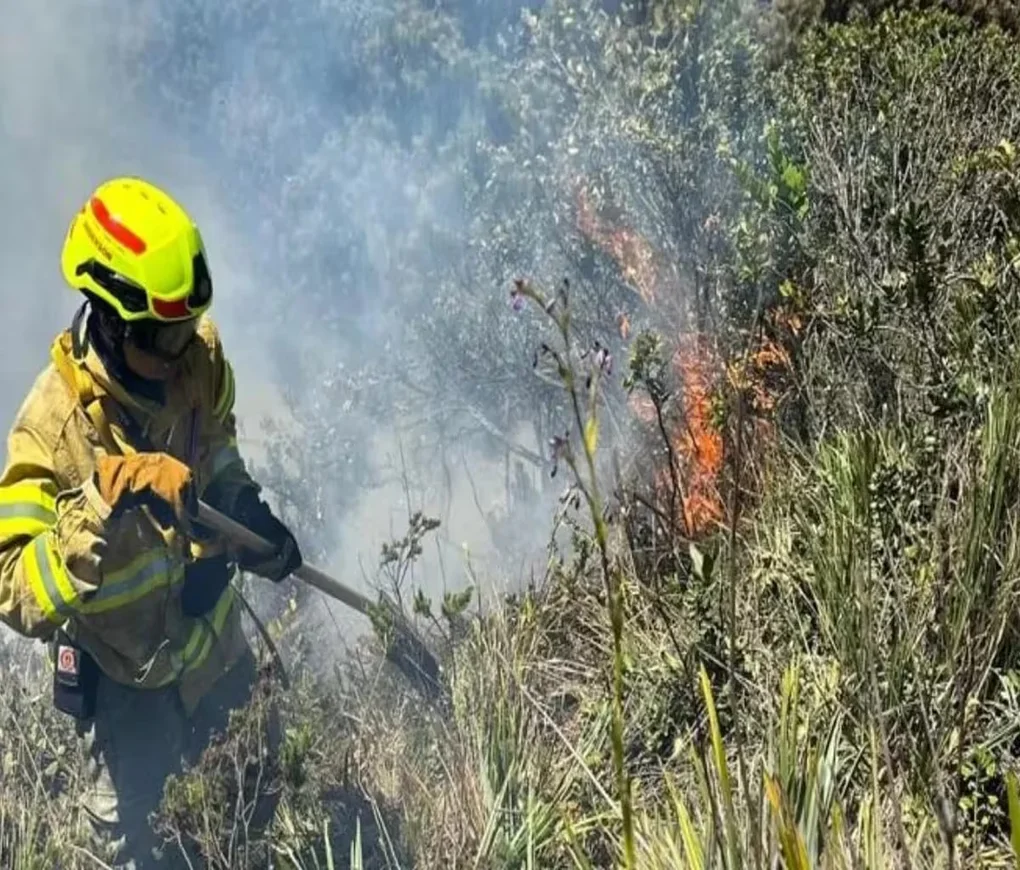 Cundinamarca, Subachoque, incendio forestal