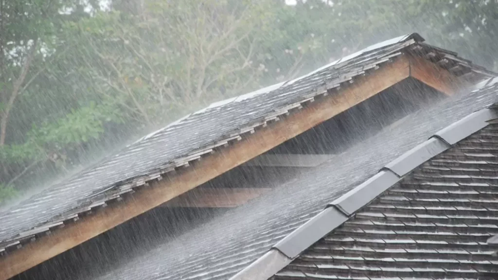 lluvias-oportunas-brindan-respiro-municipios-afectados-sequia-tolima