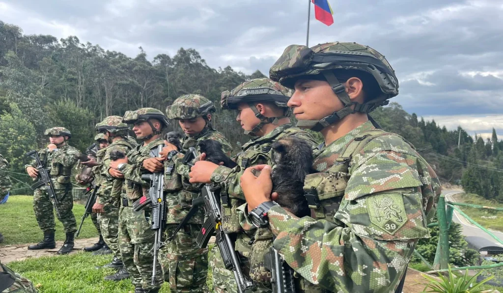 Perros rescatados en Cundinamarca
